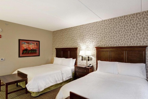 Hampton Inn By Hilton Tunkhannock image 21