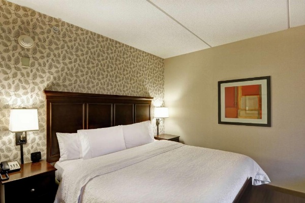 Hampton Inn By Hilton Tunkhannock image 24